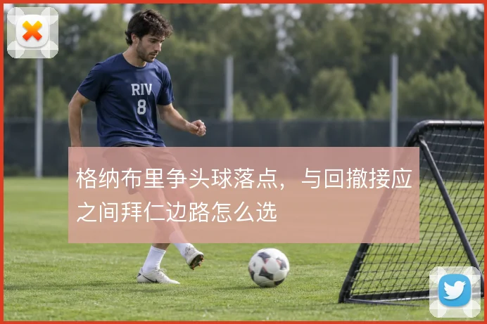 格纳布里争头球落点，与回撤接应之间拜仁边路怎么选