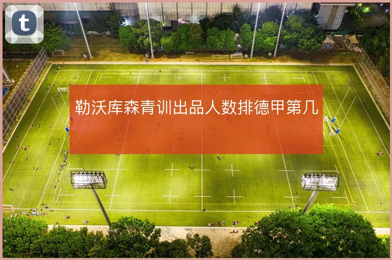 勒沃库森青训出品人数排德甲第几