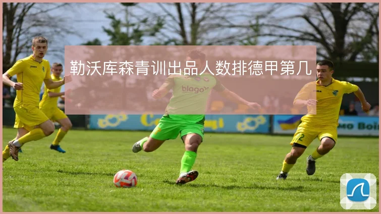 勒沃库森青训出品人数排德甲第几